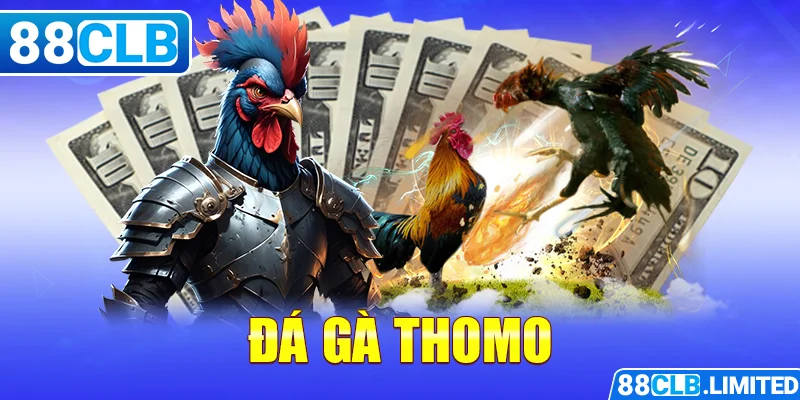 Đá gà Thomo